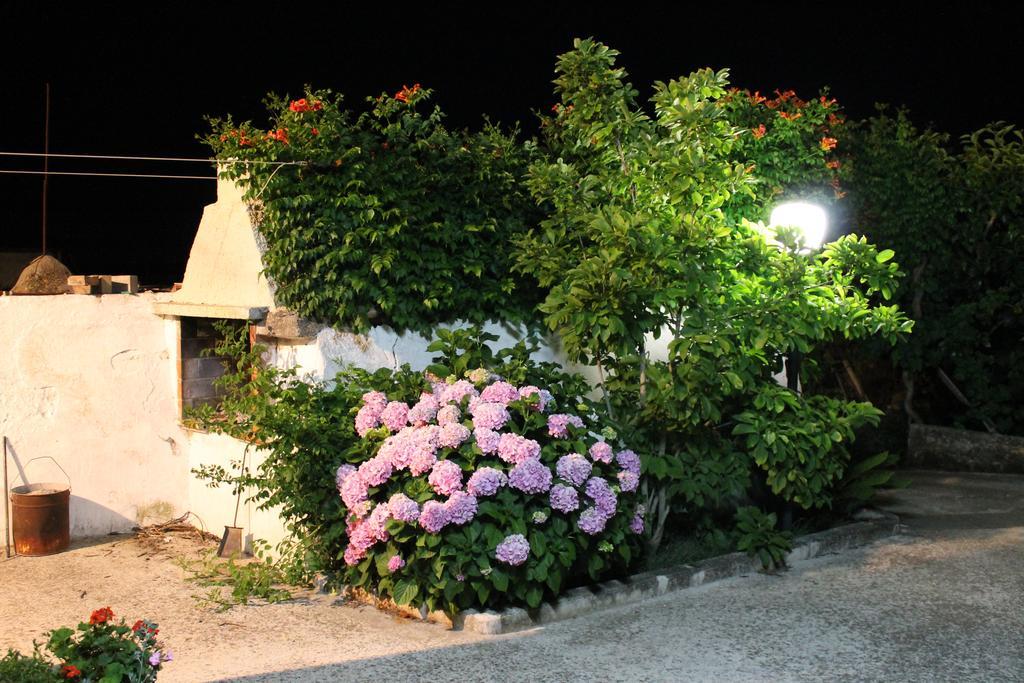 La Casa Del Nonno Bed and Breakfast Alberobello Buitenkant foto