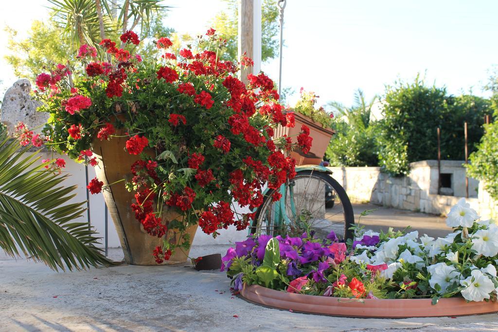 La Casa Del Nonno Bed and Breakfast Alberobello Buitenkant foto