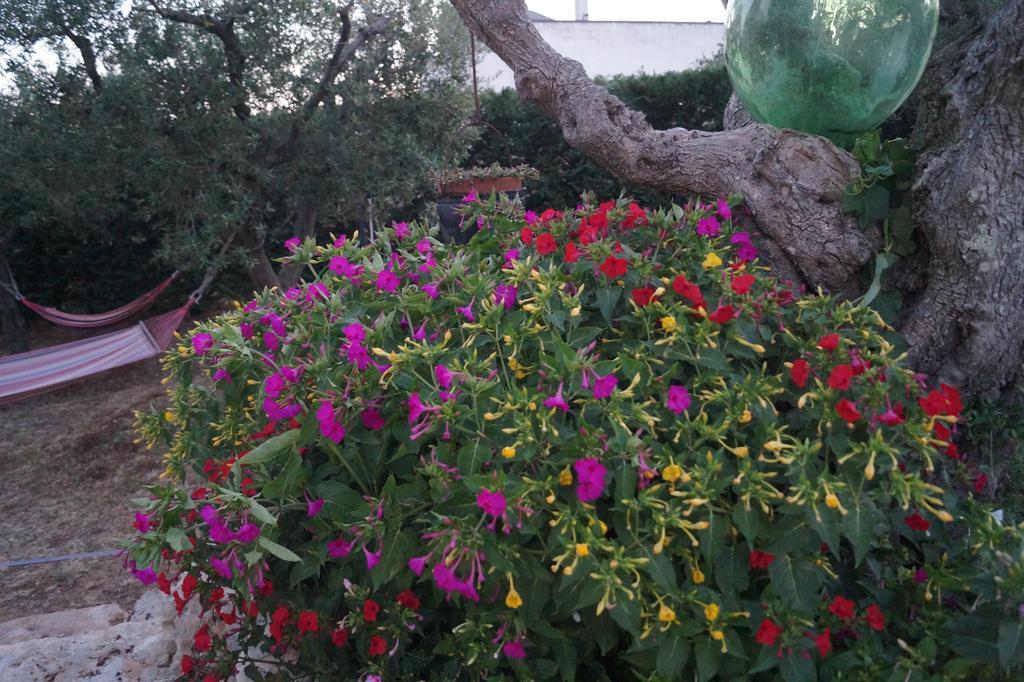 La Casa Del Nonno Bed and Breakfast Alberobello Buitenkant foto